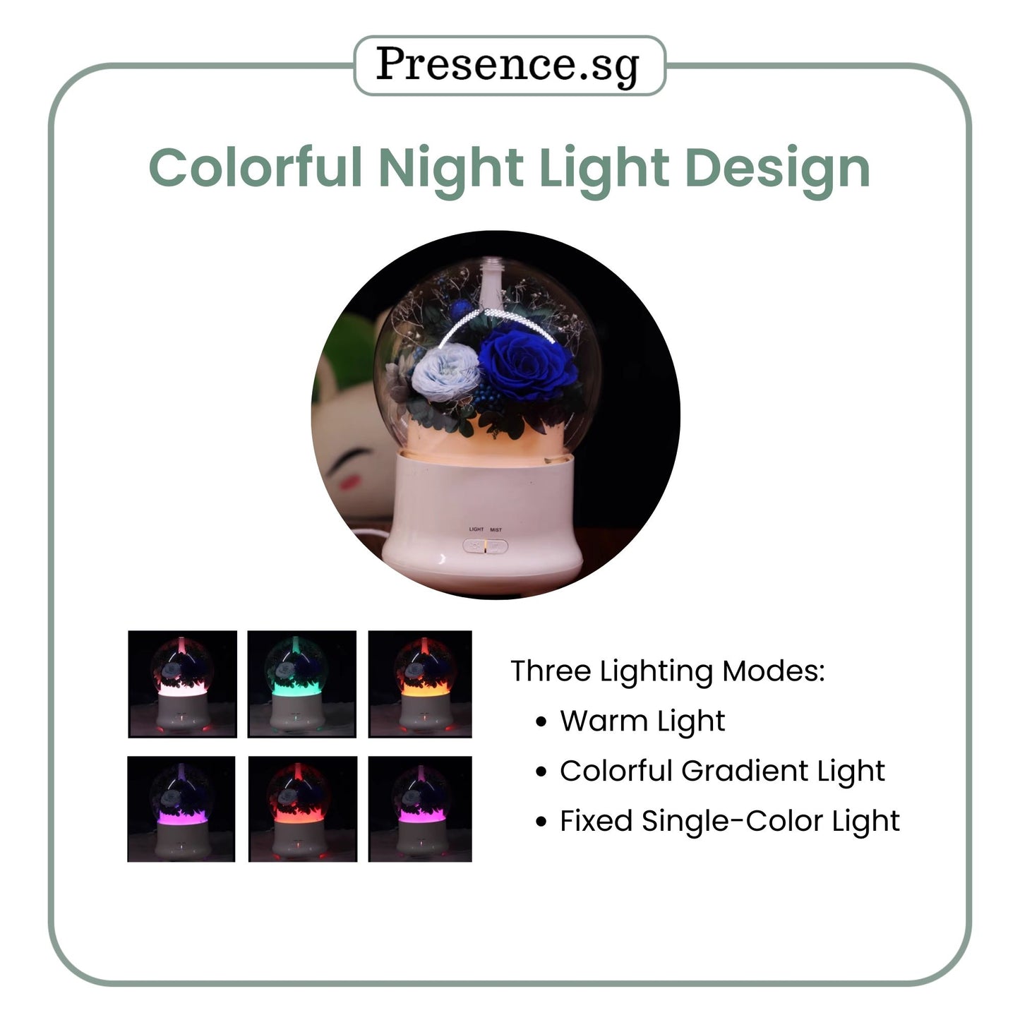 Preserved Flower Aroma Diffuser with Night Light