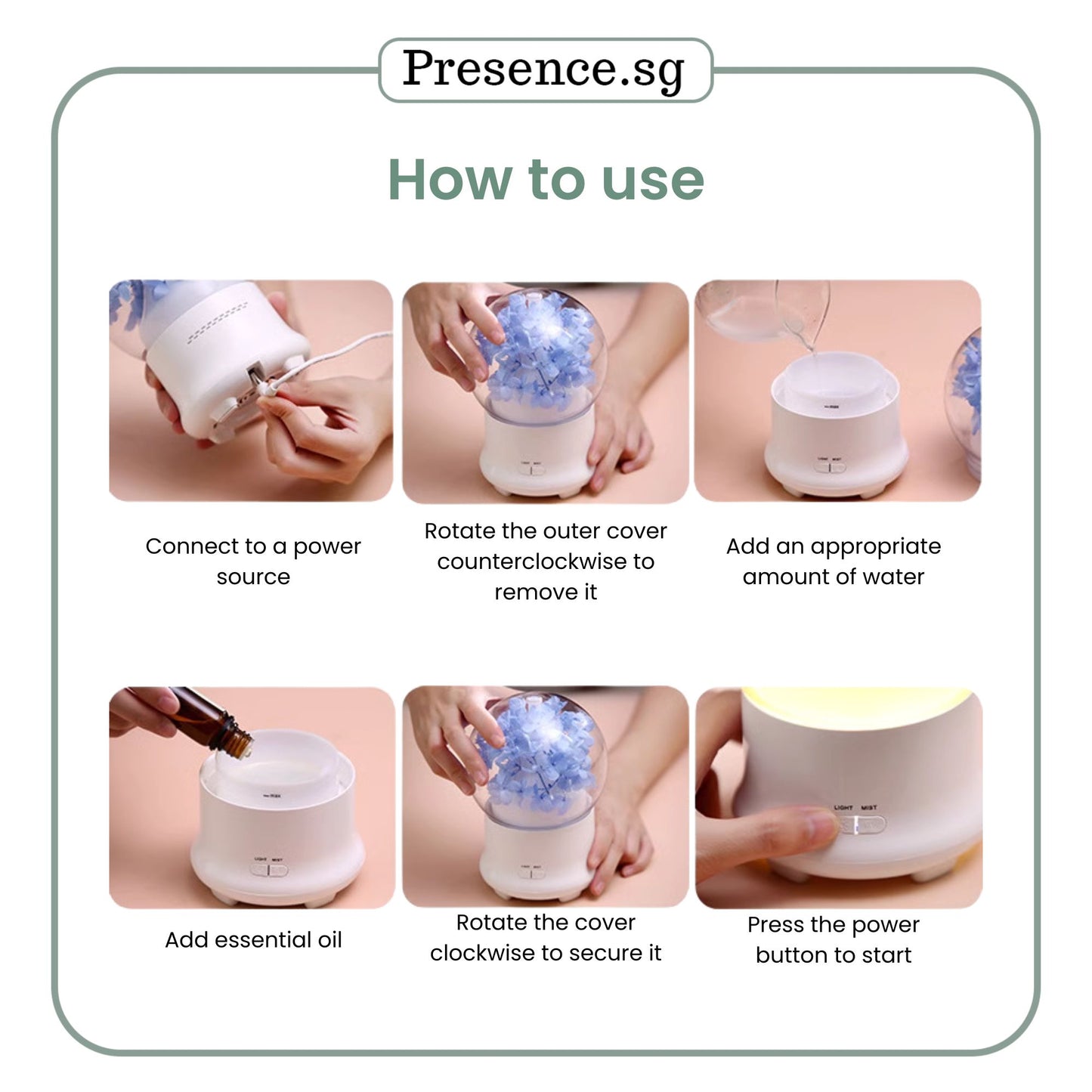 Preserved Flower Aroma Diffuser with Night Light