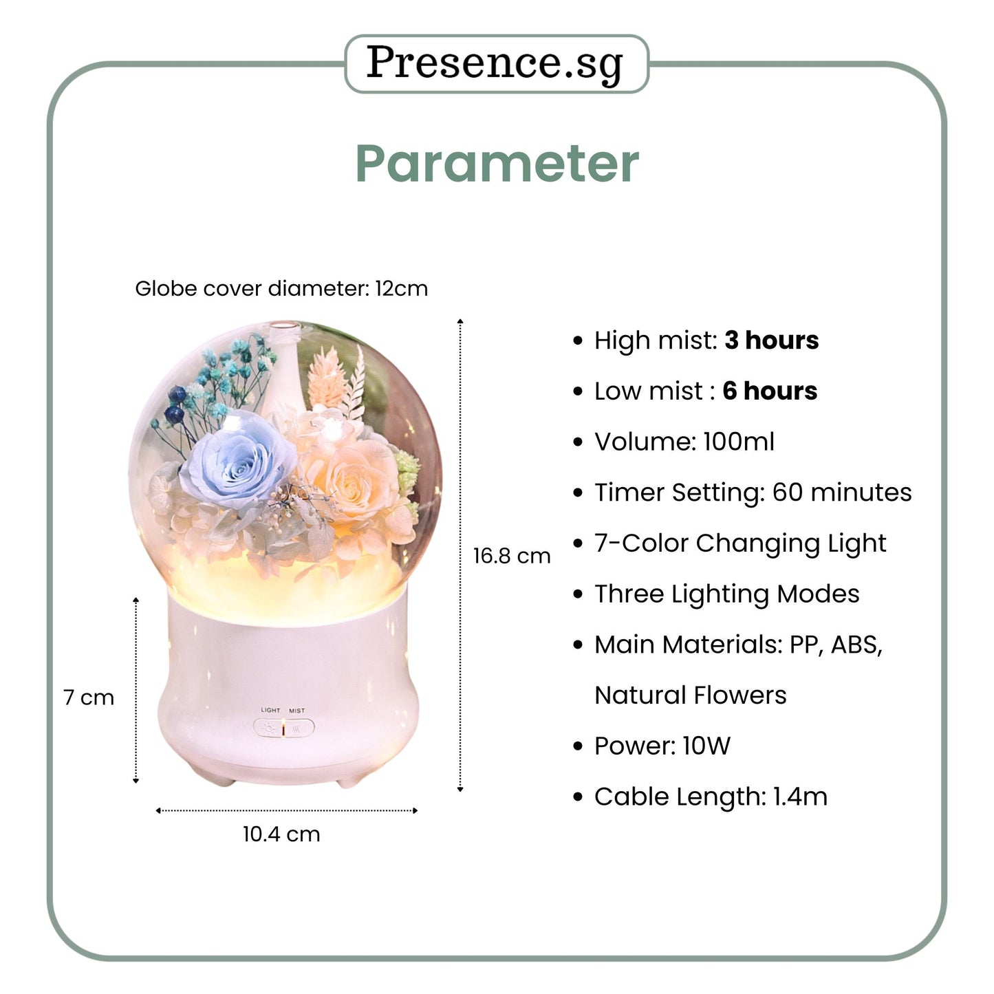 Preserved Flower Aroma Diffuser with Night Light