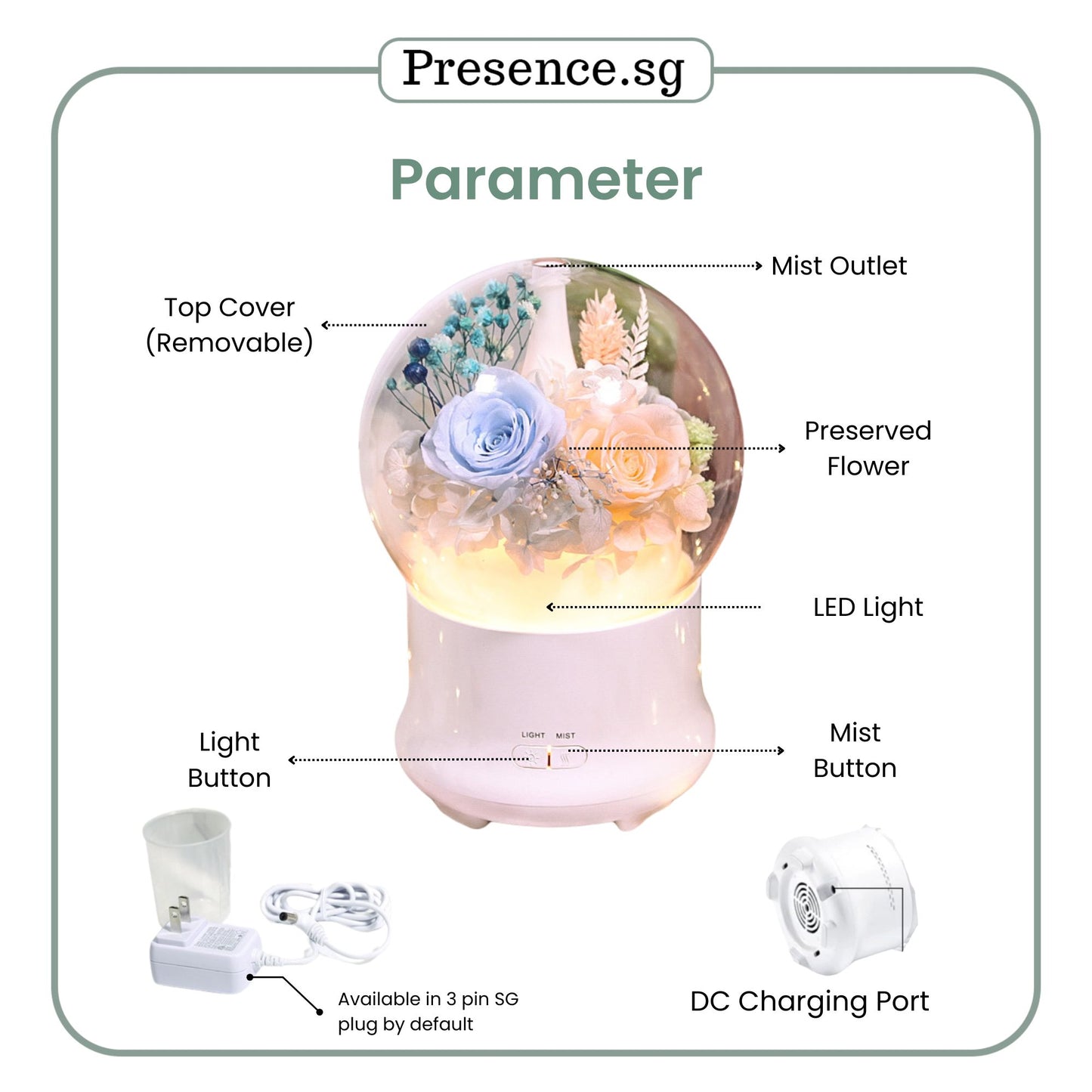 Preserved Flower Aroma Diffuser with Night Light