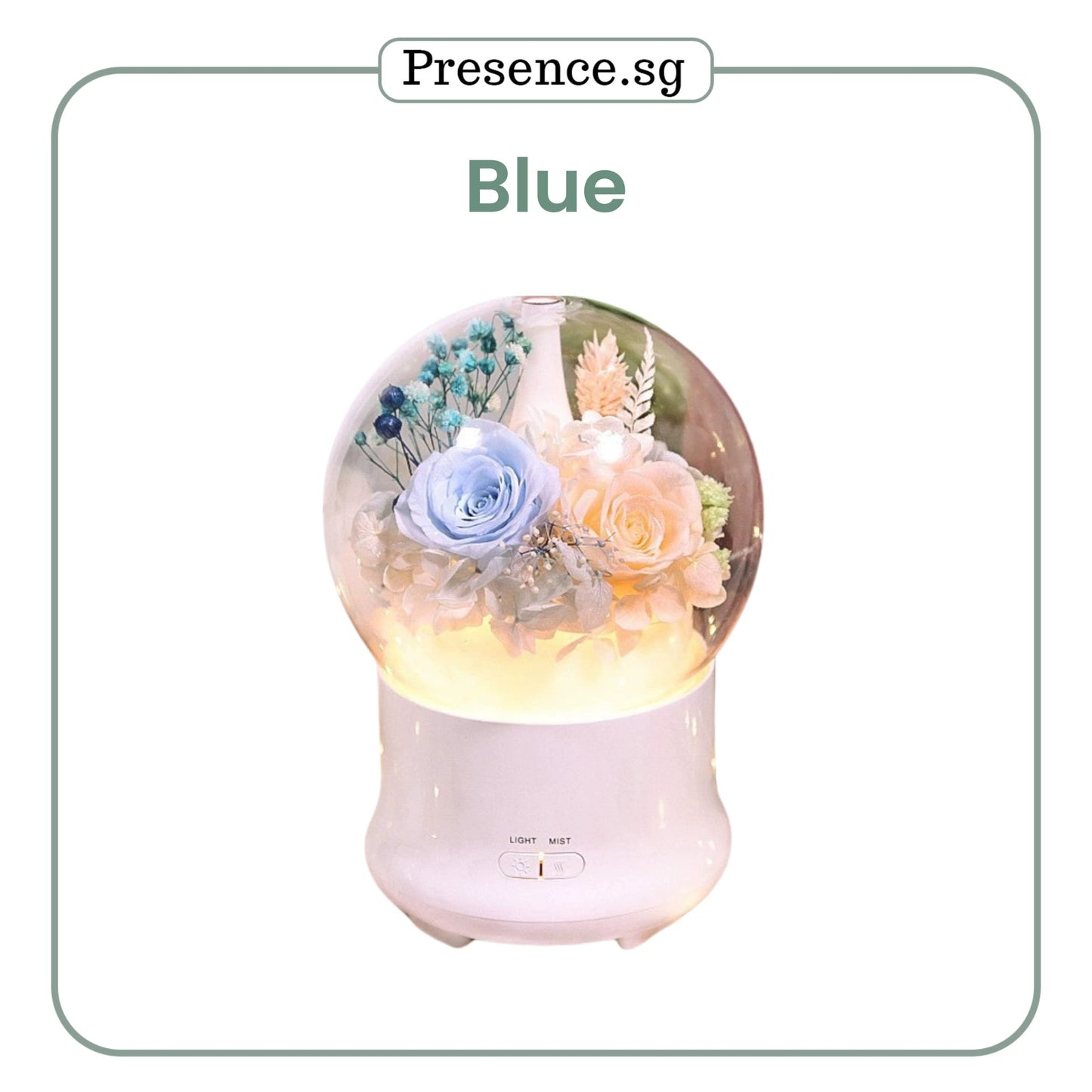 Preserved Flower Aroma Diffuser with Night Light