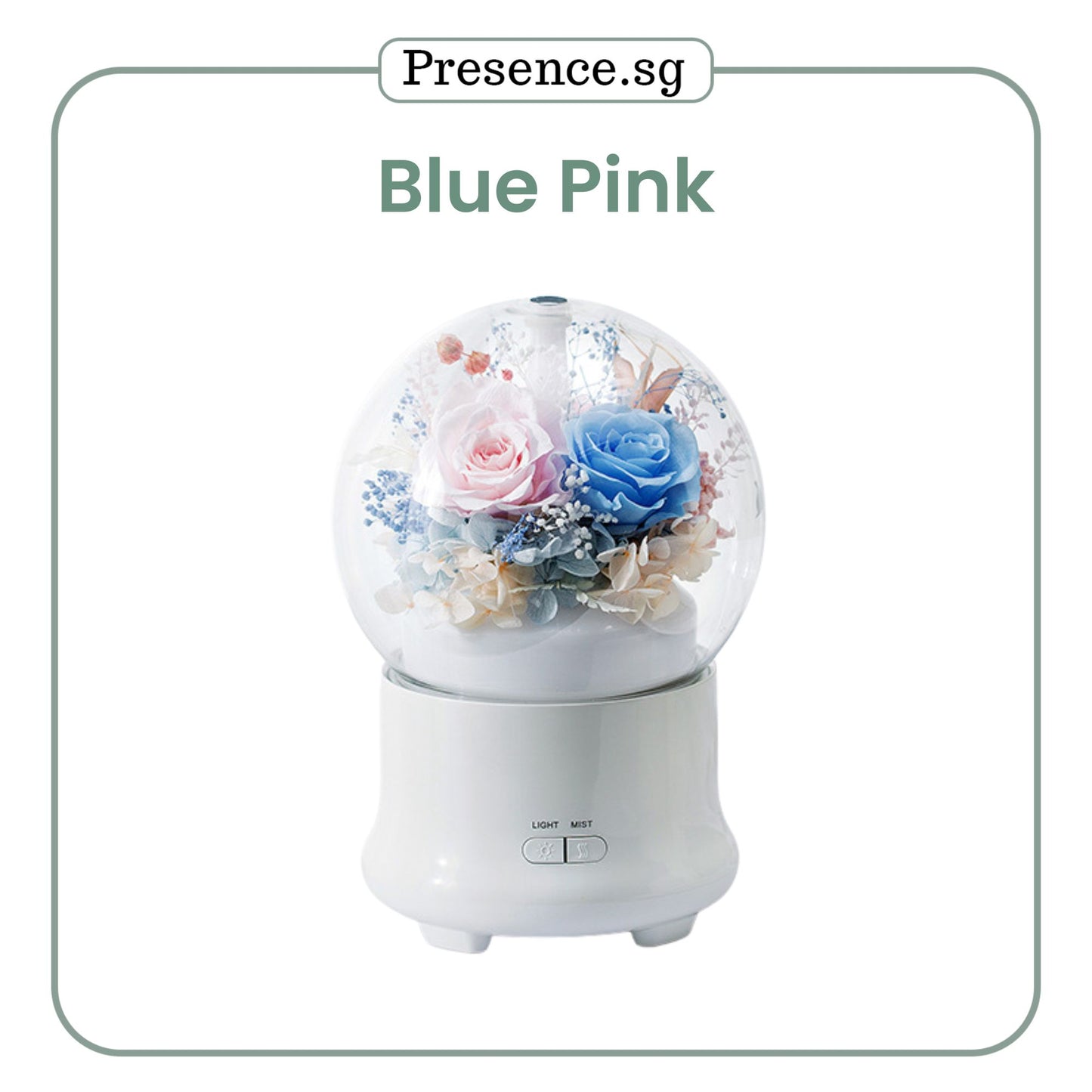 Preserved Flower Aroma Diffuser with Night Light