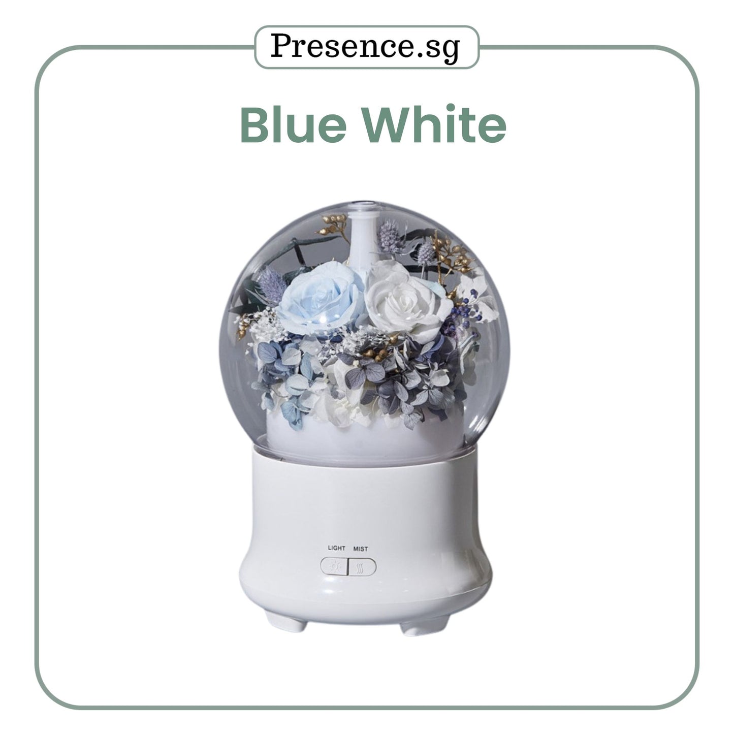 Preserved Flower Aroma Diffuser with Night Light