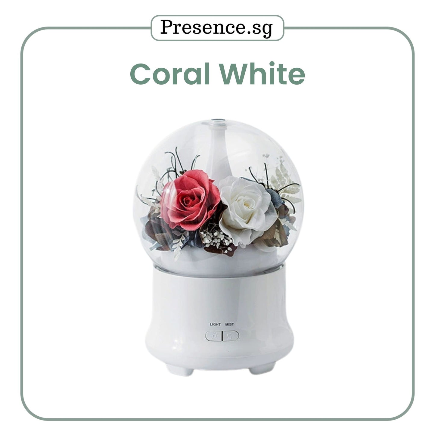 Preserved Flower Aroma Diffuser with Night Light