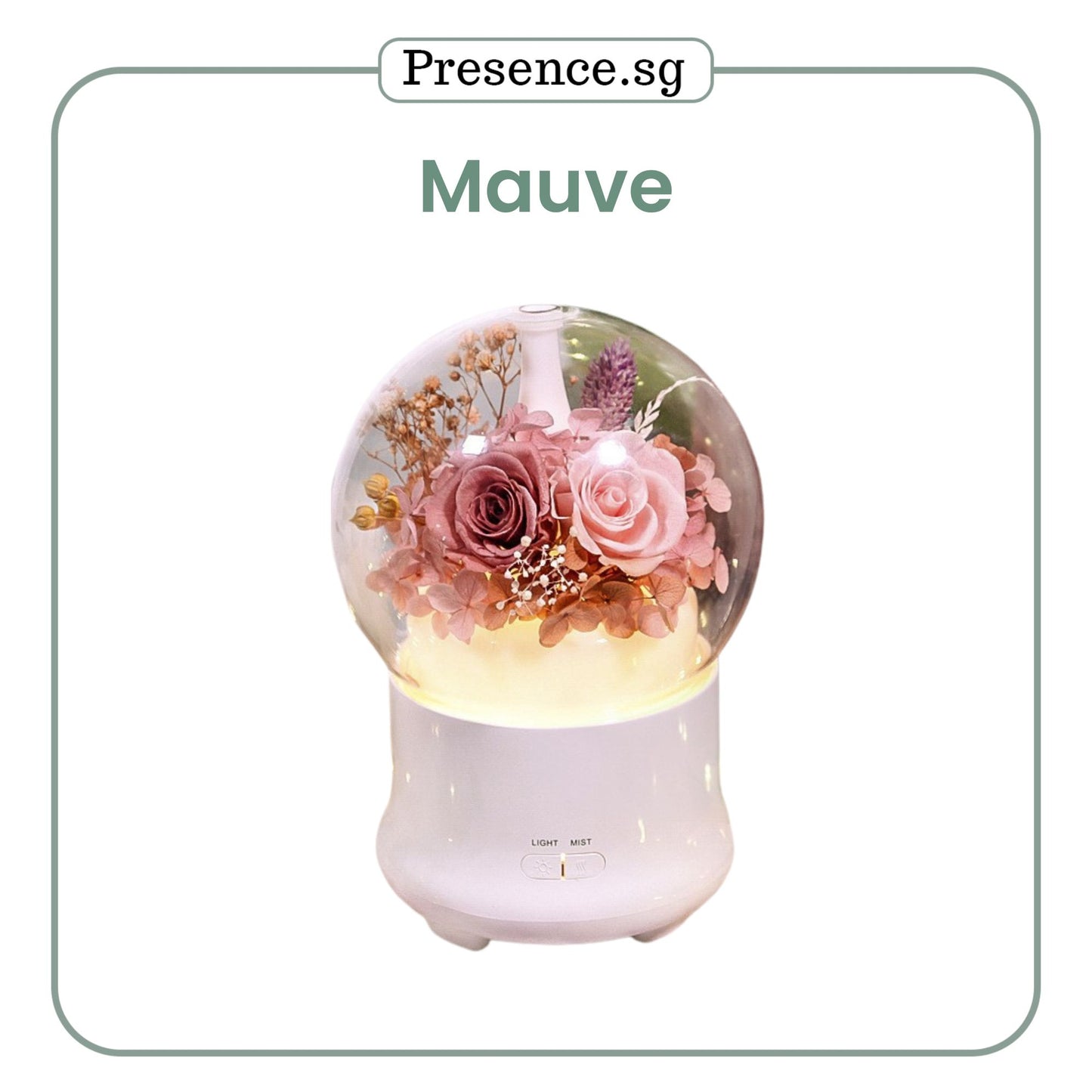 Preserved Flower Aroma Diffuser with Night Light