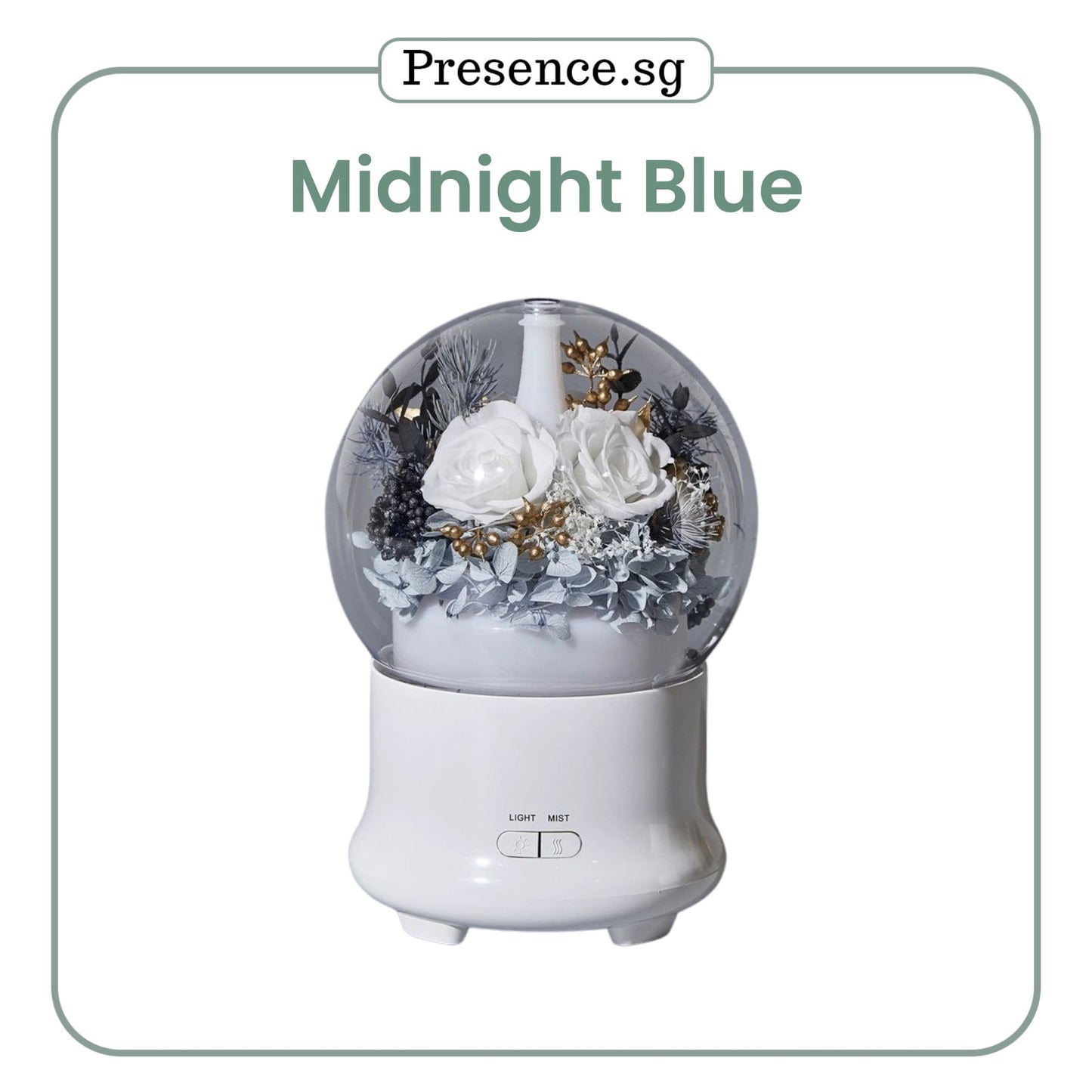 Preserved Flower Aroma Diffuser with Night Light