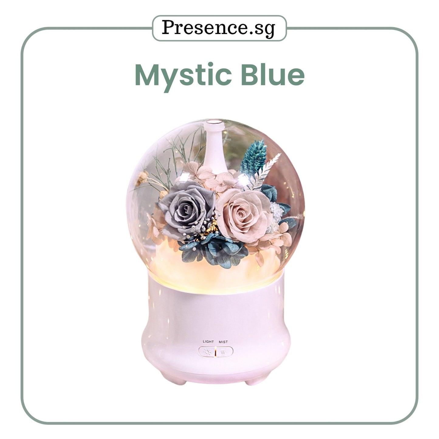 Preserved Flower Aroma Diffuser with Night Light