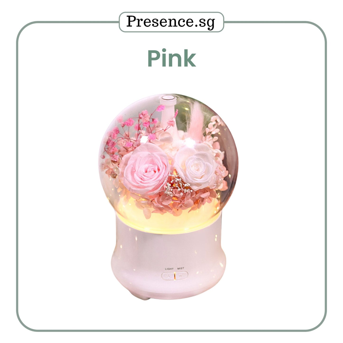 Preserved Flower Aroma Diffuser with Night Light