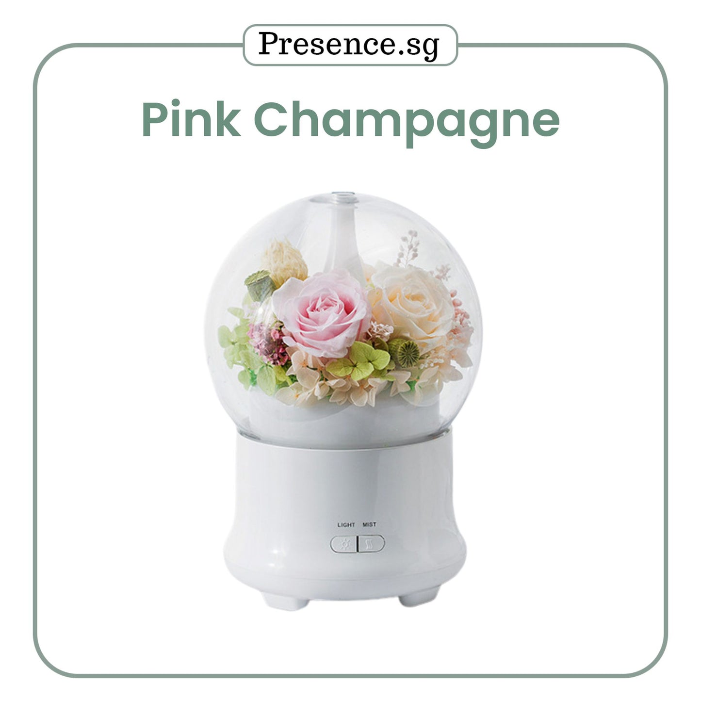 Preserved Flower Aroma Diffuser with Night Light