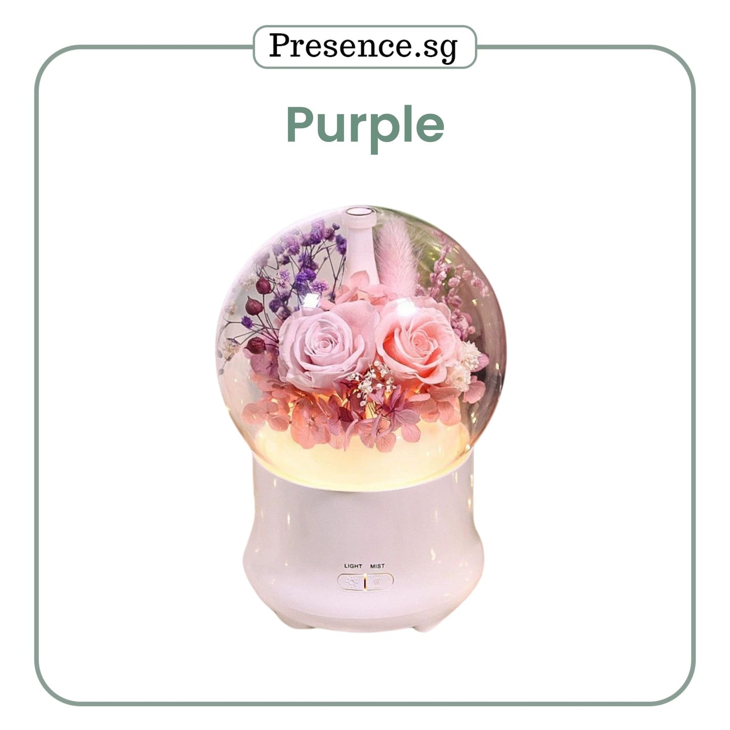 Preserved Flower Aroma Diffuser with Night Light