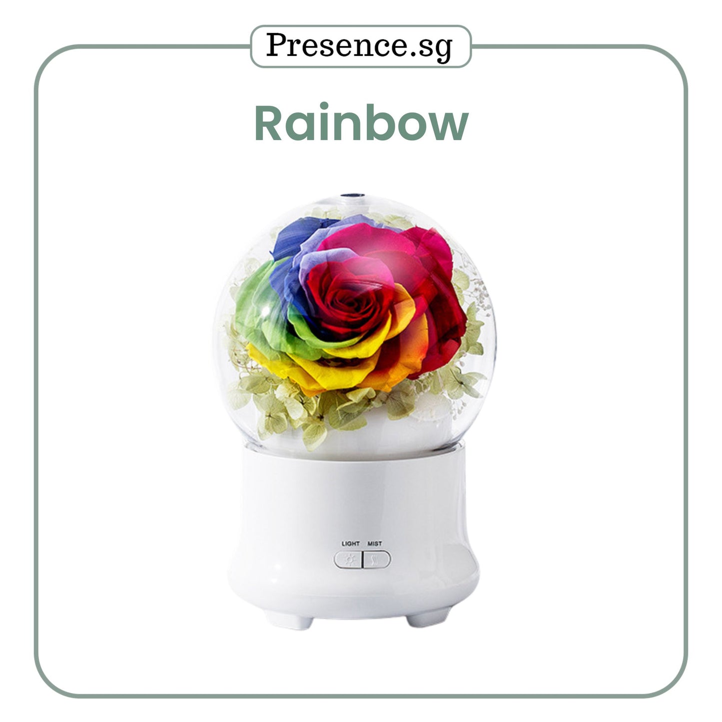 Preserved Flower Aroma Diffuser with Night Light