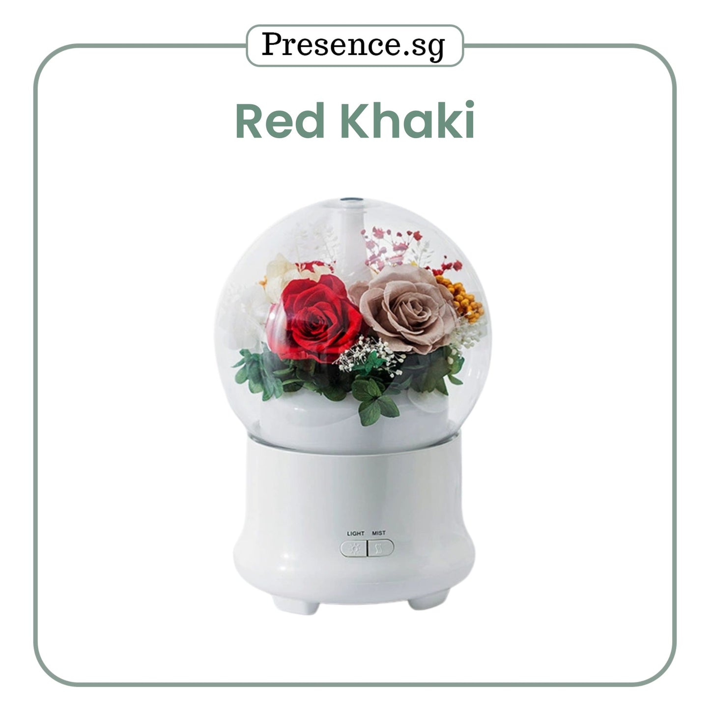 Preserved Flower Aroma Diffuser with Night Light