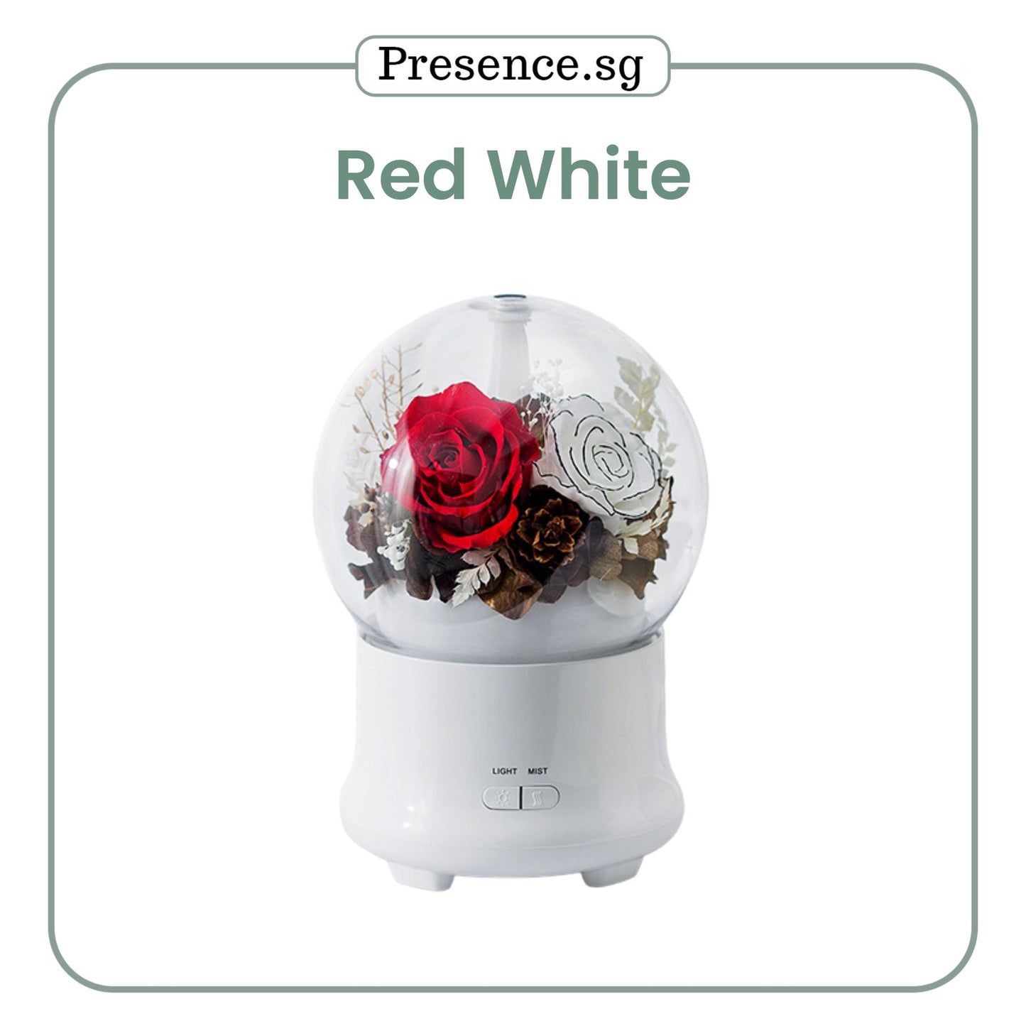 Preserved Flower Aroma Diffuser with Night Light