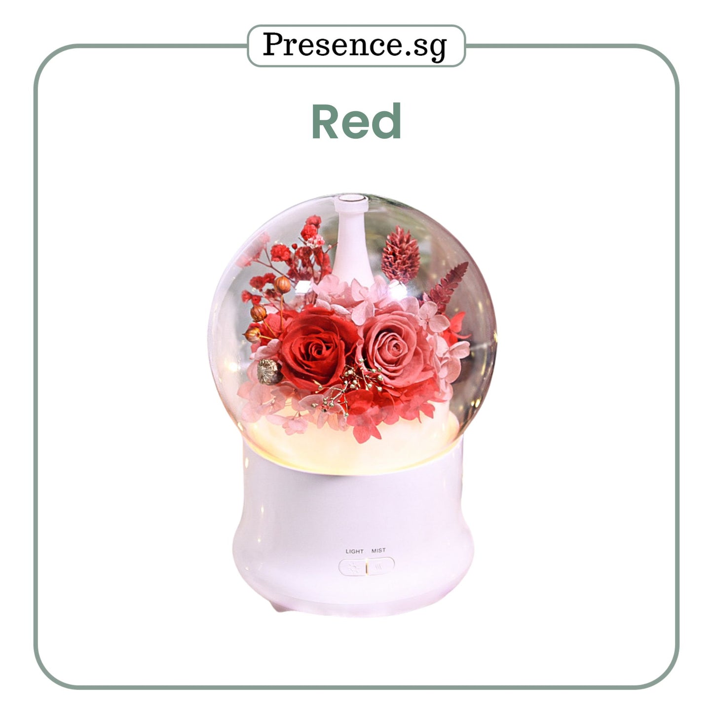 Preserved Flower Aroma Diffuser with Night Light