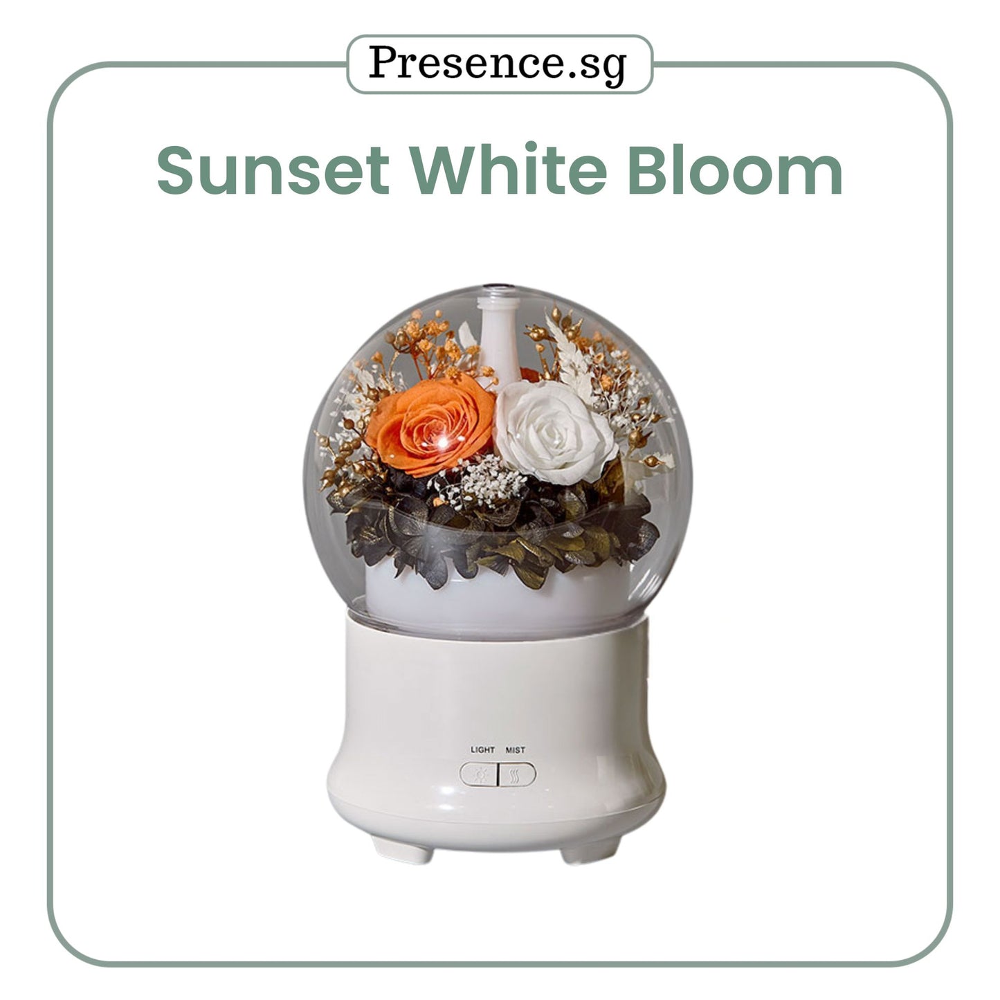 Preserved Flower Aroma Diffuser with Night Light
