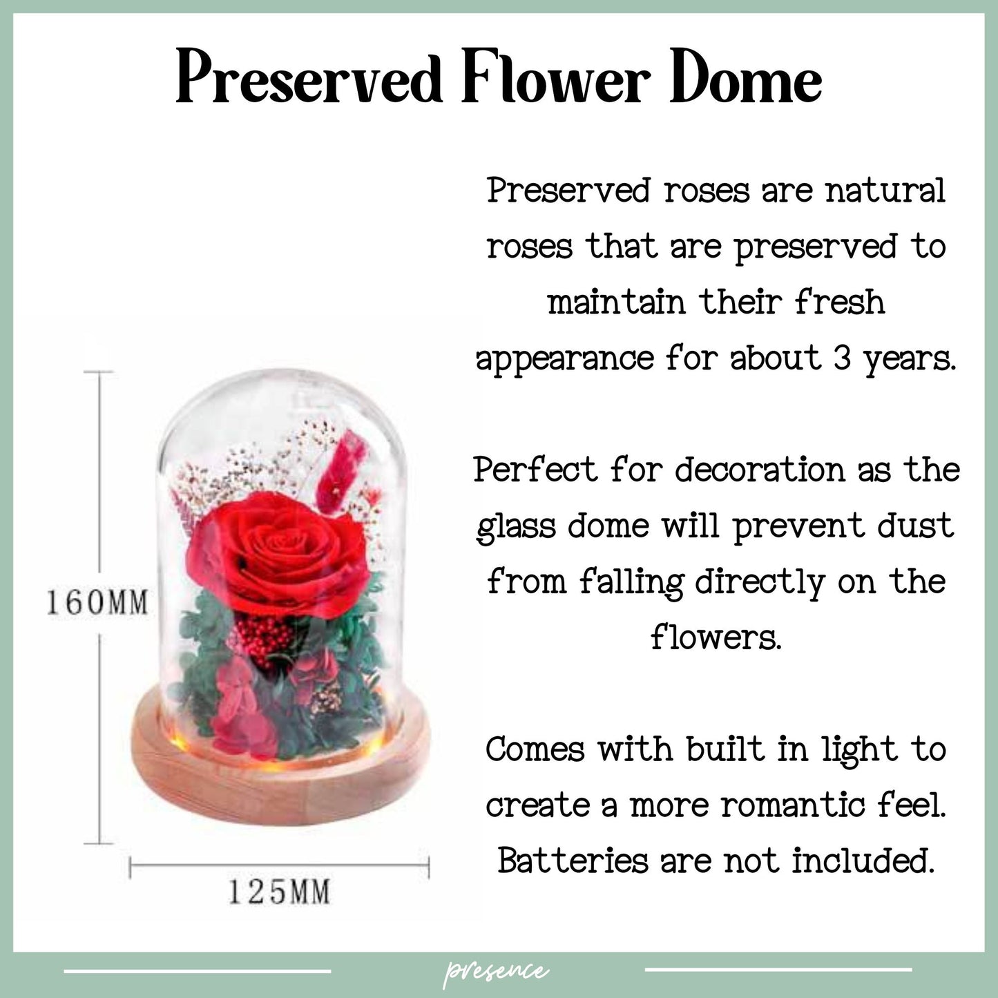 Preserved Rose Dome