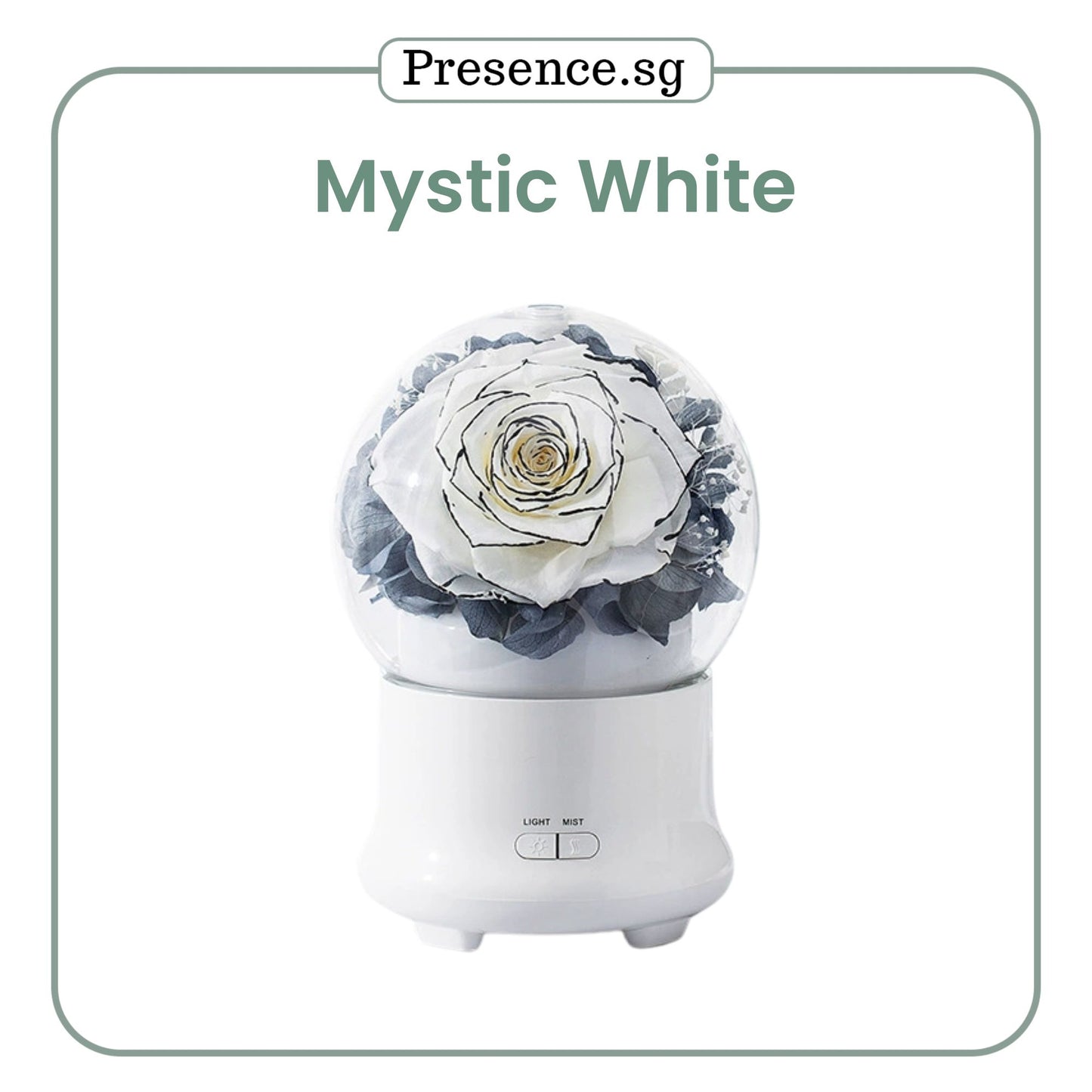 Preserved Flower Aroma Diffuser with Night Light