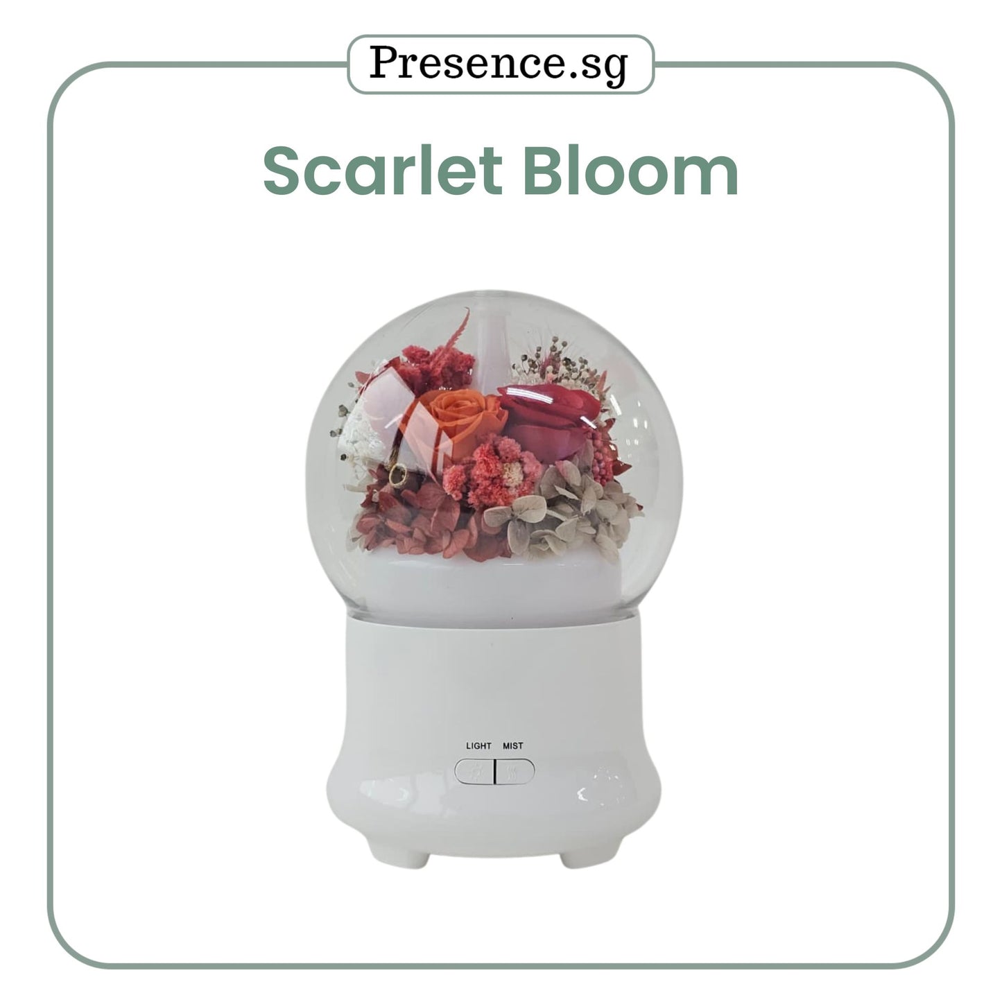 Preserved Flower Aroma Diffuser with Night Light
